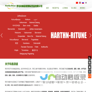 青岛和鑫源盛国际贸易有限公司